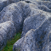 Limestone Pavement, above Malham Cove