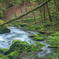 Confluence
