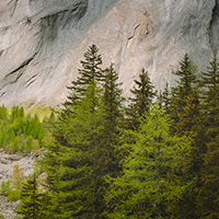 Shale Cliff