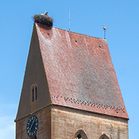 Nesting storks