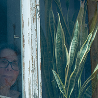 Face in the window
