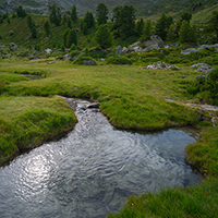 Mountain Stream