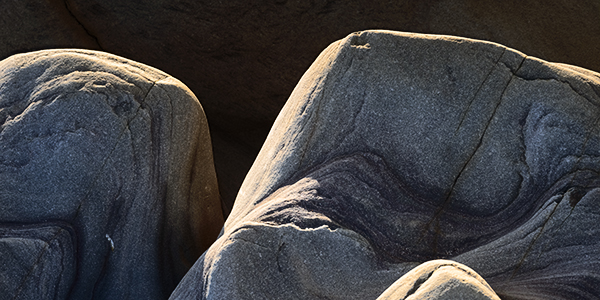 Pick of the year - 2025