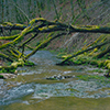 Ruisseau de Bonneille